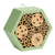 Mason Bee HexBox