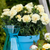 Dianthus Sunflor Collection