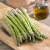 Asparagus Collection