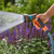 Gardena Classic Multi Sprayer Starter Set