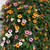 Thunbergia alata 'Sunny Susy' Orange Beauty