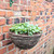 Rattan Basket 14 Inch
