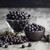 Chokeberry (Aronia Melanocarpa)