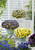 33 Pansy Cool Wave Lemon (Maxi plugs)