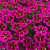 Calibrachoa Cabaret Good Night Kiss