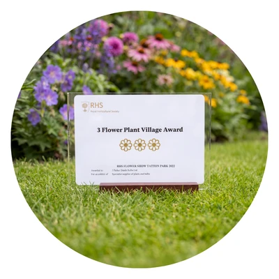 J.Parker's winner of 3 RHS 3 flower plant village tatton 2023 award