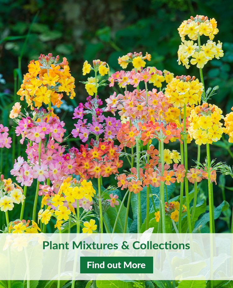 J. Parker's Garden Plants & Bulbs