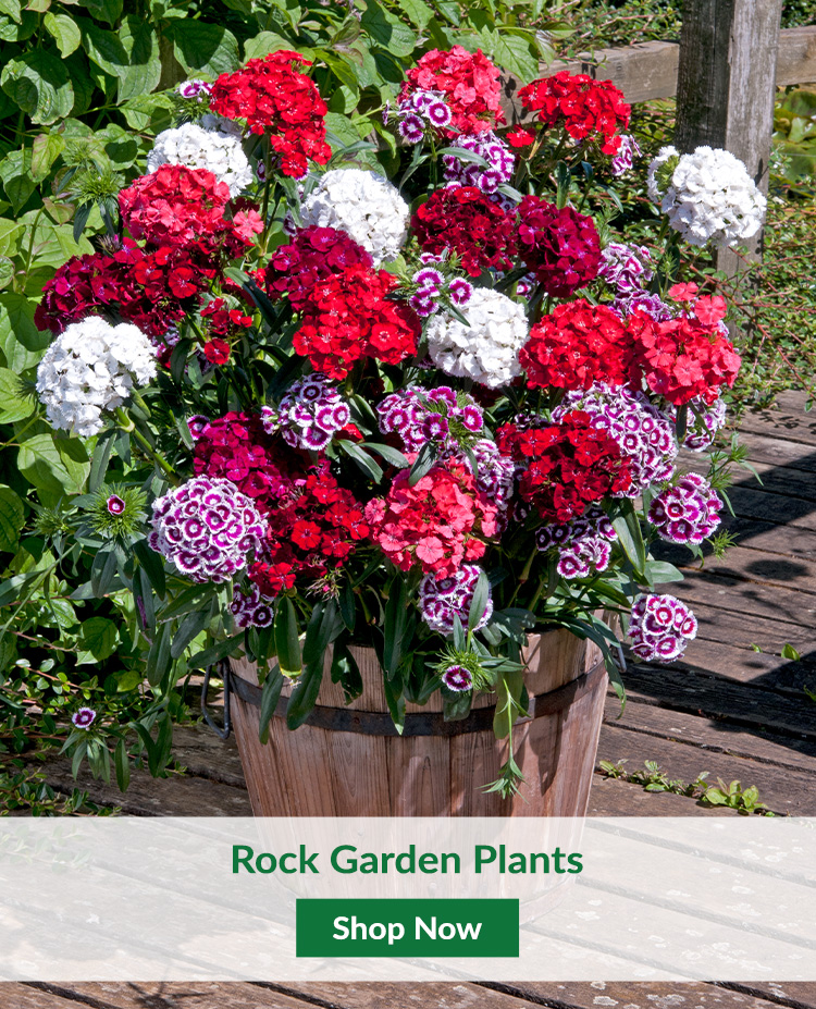 J. Parker's Garden Plants & Bulbs