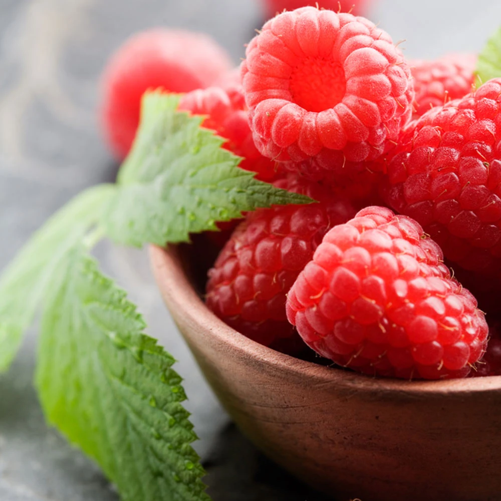 Usa Apple Raspberry Shop All Season Fruiting Raspberry Collection B | J. Parker's