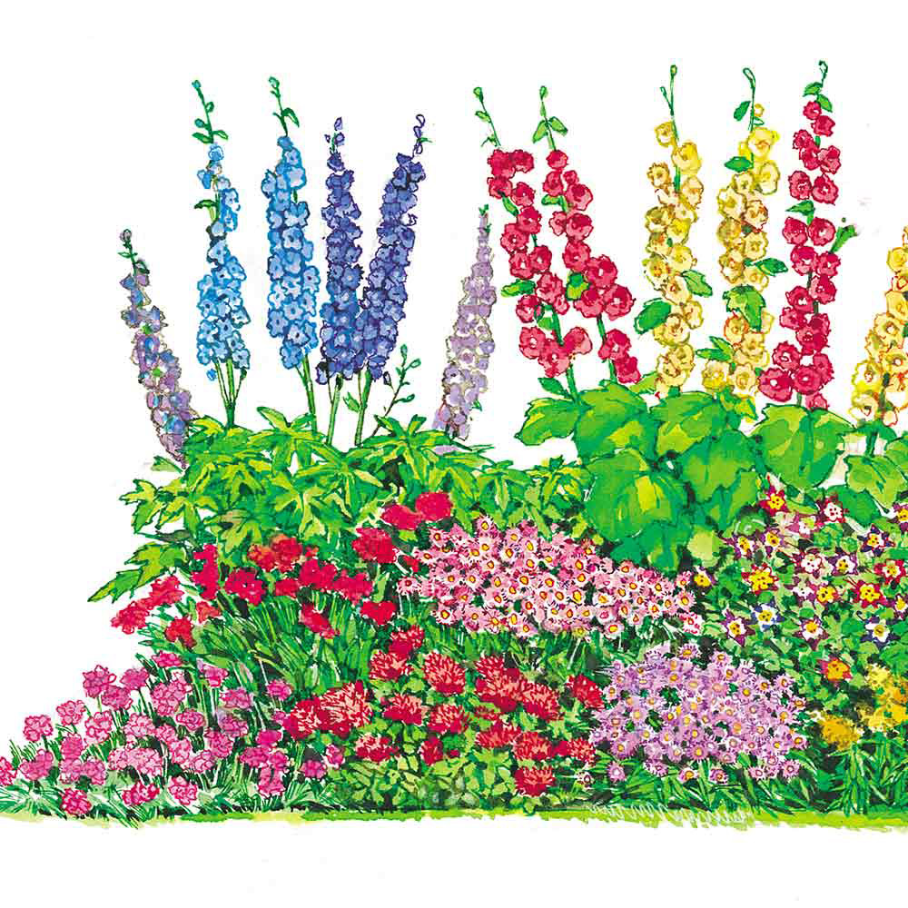 Shop Perennial Complete Border Collection from J. Parker's
