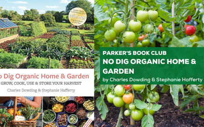 Steph Hafferty's guide to starting a no dig garden