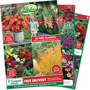 catalogue