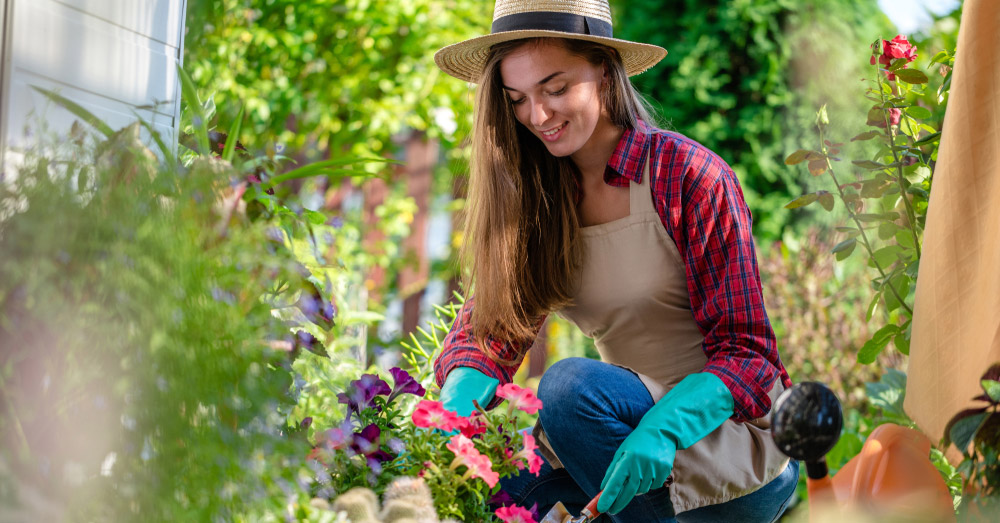 Perennials For Sale | J Parker Dutch Bulbs