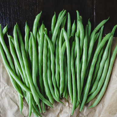 Dwarf French Bean Safari