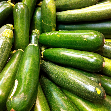 Courgette Black Beauty