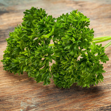 Herbs Parsley – Triple Moss Curled