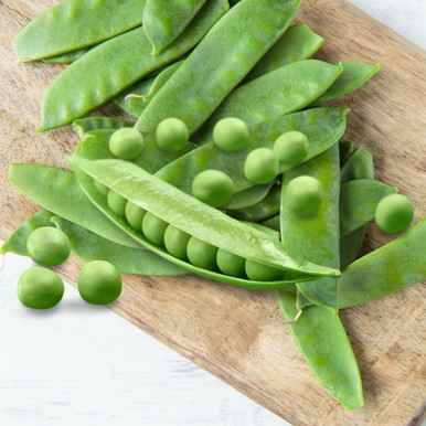 Pea - Mangetout Snow Pea Oregon