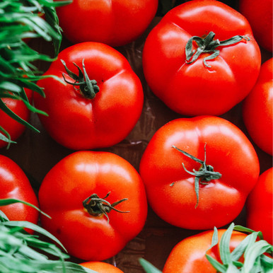 Tomato Rose Crush F1 -Blight Resistant