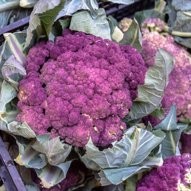 Cauliflower Italian Di Sicilia Violetto
