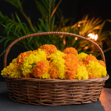 Calendula Fiesta Mix