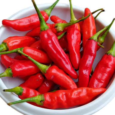 Pepper Rokita