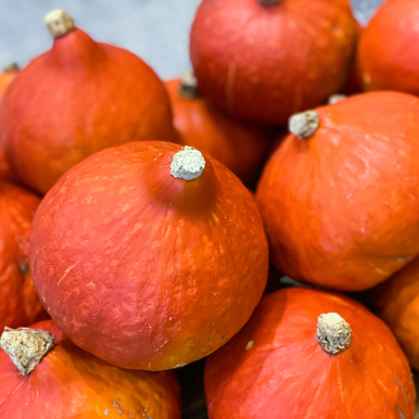 Squash Uchiki Kuri