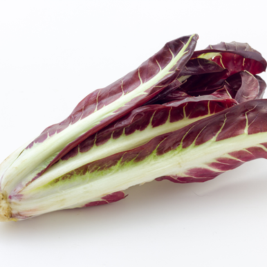 Chicory Red Rossa di Treviso