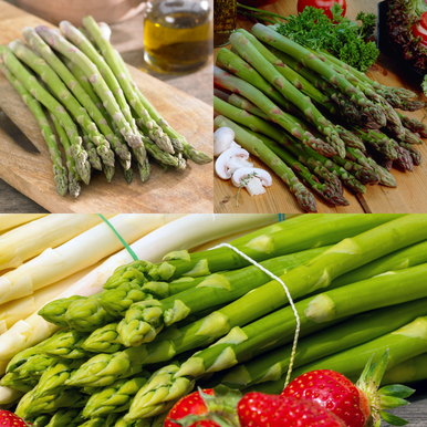 Asparagus All Season Collection