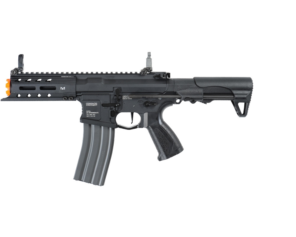 G&G Armament ARP 556 AEG