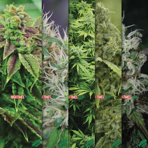 Mob High Times Magazine Assorted Weed Grip Tape 9in x 33in - Skateboard Griptape - Assorted (1 Sheet)