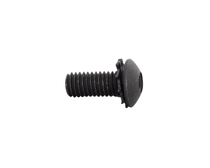 Kingman Spyder MR1 M5 x 12 Trigger Frame Screw w/ Star Washer (ASH) (SCR016)