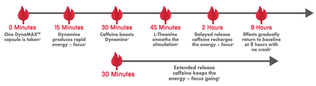 DynaMAX Enhanced Caffeine Timeline of Action DynaMAX Enhanced Caffeine Timeline of Action