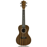 Lanikai MA-C Mahogany Concert Ukulele w/Bag - Big Dudes Music City