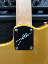 Myles Kennedy MKS2 - Gold