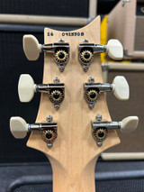 USA CE 24 - Custom color -Faded Abalone Smokewrap Burst