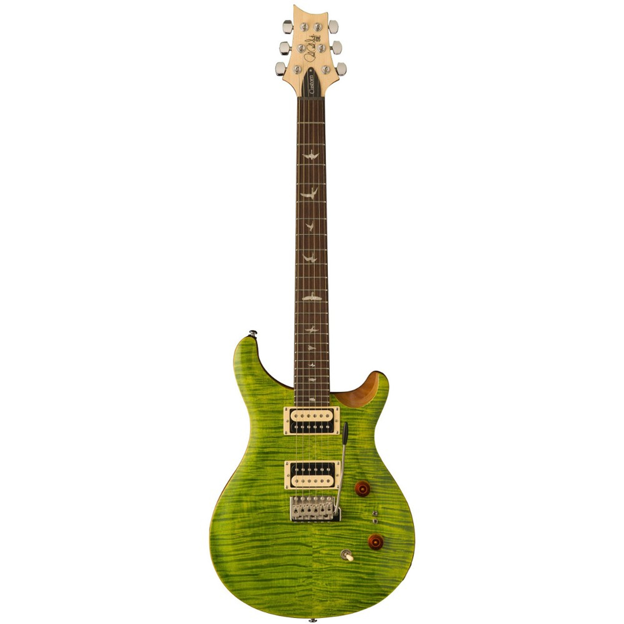 SE C844 Custom 24-08 Eriza Verde - Big Dude's Music City