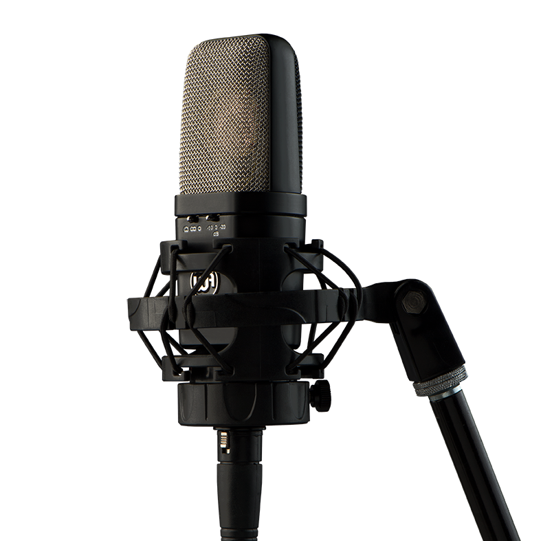 WARM AUDIO WA-14 コンデンサーマイク (lot # 1) Warm Audio WA-14 Large Diaphragm Condenser Microphone - Big Dude's