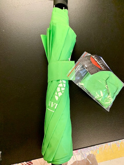 Umbrella Green