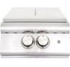 Blaze Professional Built-in Power Burner
