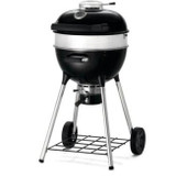 Napoleon Charcoal Grills