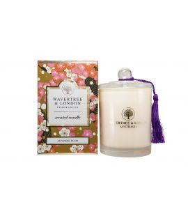 Candle Japanese Plum Candle Japanese Plum