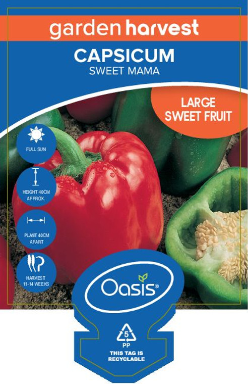 Capsicum Seedlings Sweet Mama