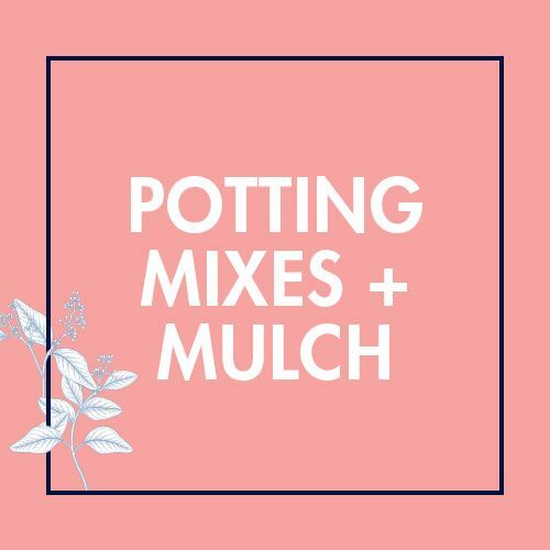 Potting Mixes + Mulch