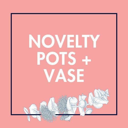 Novelty Pots & Vases