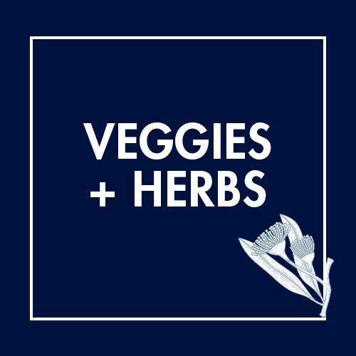 Vegies + Herbs