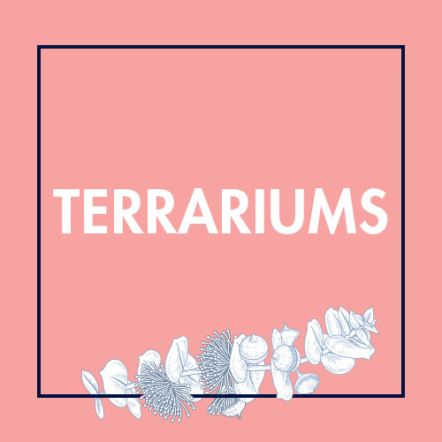 Terrariums