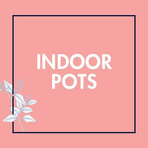 Indoor Pots