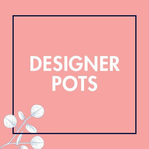 Designer Pots 