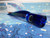 Pro Series Flying Fish Whistlers