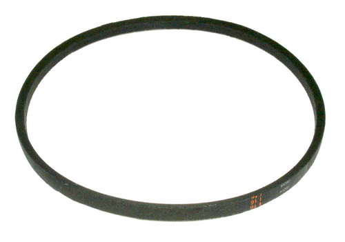 AML20005200  BELT